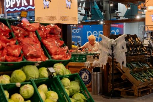 The government has urged retailers to rethink their supply chains and to decentralise logistics — Tetiana DZHAFAROVA / AFP
