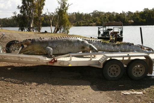 Croc-habitat gets green light for 2032 Olympic rowing