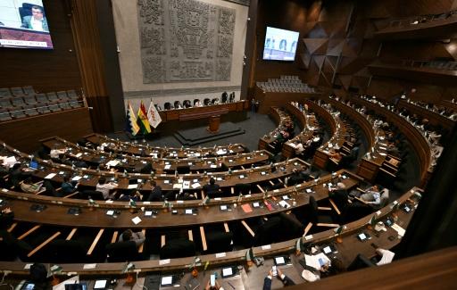 Congreso de Bolivia aprueba financiamiento de 1.900 millones de dólares con el FMI