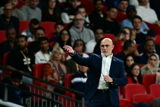 Spain success driven by hunger to improve, says De La Fuente