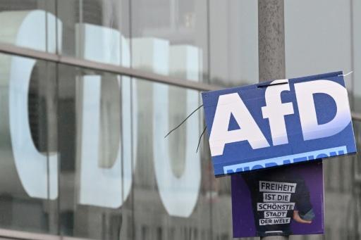A AfD chega fortalecida às eleições após uma vitória contundente sobre a conservadora União Democrata Cristã (CDU), de Merz, na Saxônia-Anhalt — RALF HIRSCHBERGER / AFP