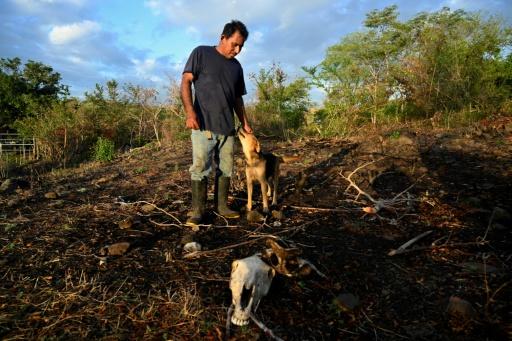 Fenómeno meteorológico de El Niño alcanza niveles récord, según científico