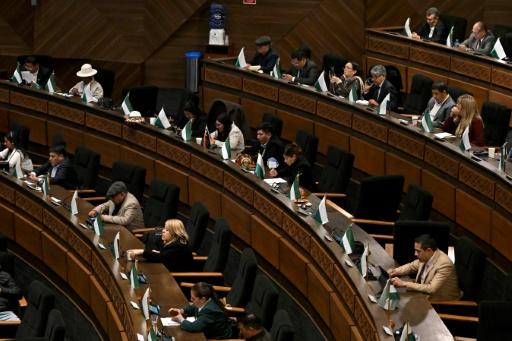 La Asamblea Plurinacional Legislativa de Bolivia, reunida en La Paz el 16 de septiembre de 2026 — Aizar Raldes / AFP