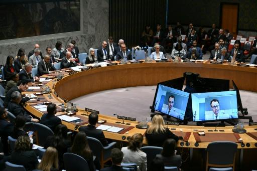 Anthropic CEO Dario Amodei appears by video during a UN Security Council meeting on artificial intelligence — ANGELA WEISS / AFP