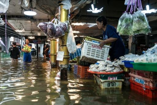 Fresh produce at market stalls was kept dry in polystyrene foam boxes or hanging just above the water level — Chanakarn LAOSARAKHAM / AFP