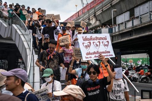 More than 20 Thai senators accused of election fraud