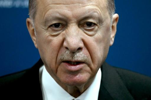 إردوغان يعتزم الترشح لولاية رئاسية جديدة في إطار انتخابات مبكرة