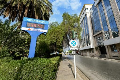 Authorities have yet to provide figures on the health impact of the heatwaves, but a group representing young Tunisian doctors reported numerous deaths it said were caused by the heat — FETHI BELAID / AFP