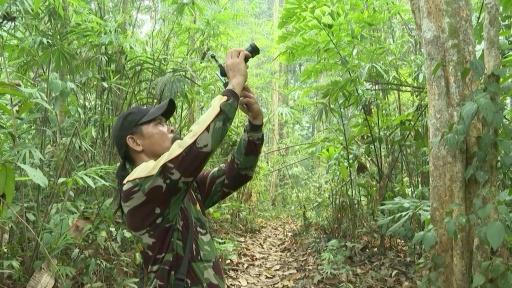 Indonesia's cash-for-photos scheme turns villagers into wildlife protectors