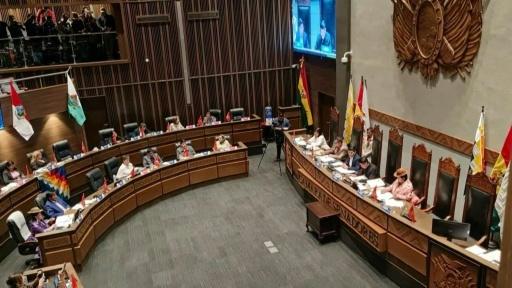 El Congreso de Bolivia aprueba un financiamiento de 1.900 millones de dólares con el FMI