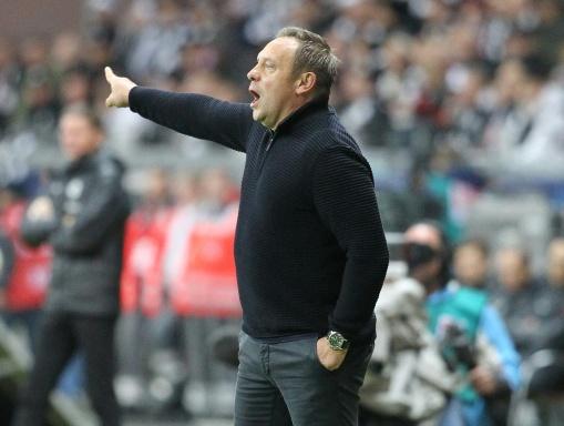 3. Liga: Rostock holt Ex-Bundesligatrainer Breitenreiter