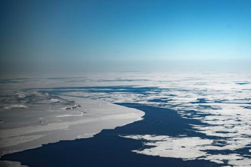 Polar oceans transformed as warming melts ice habitats: research