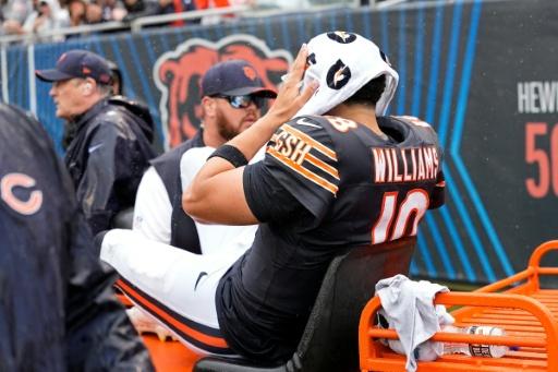 Williams injured as Bears shut down by Vikings