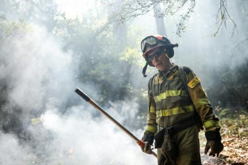 Eté européen : plus de 500.000 hectares brûlés par des feux hors normes