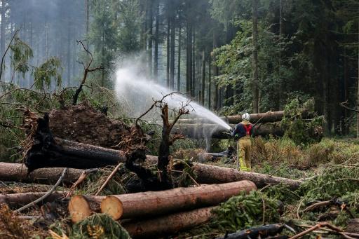 Un pompier arrose le sol pour l'humidifier lors des opérations visant à contenir un incendie de forêt dans la réserve naturelle des Hautes Fagnes, le 20 août 2026 en Belgique — JULIEN WARNAND / AFP