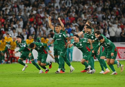 Palmeiras bate LDU nos pênaltis e vai à semifinal da Libertadores contra o Fluminense