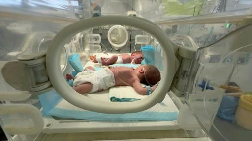 Bebês prematuros compartilham incubadora em hospital de Gaza
