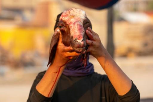 عشر سنوات سجنا لقصاب عراقي باع في النجف لحم خنزير غير صالح للاستهلاك
