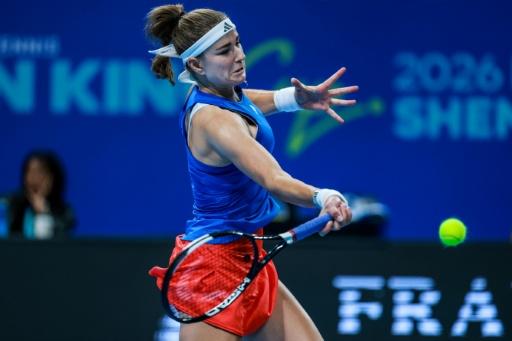 Czech Republic beat Ukraine to win BJK Cup