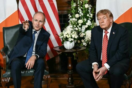 US President Donald Trump (R) met Ireland's Prime Minister Micheal Martin (L) — Brendan SMIALOWSKI / AFP