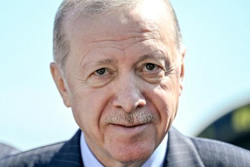 إردوغان سيترشح لولاية رئاسية جديدة في إطار انتخابات مبكرة (إعلام نقلا عن مستشاره)
