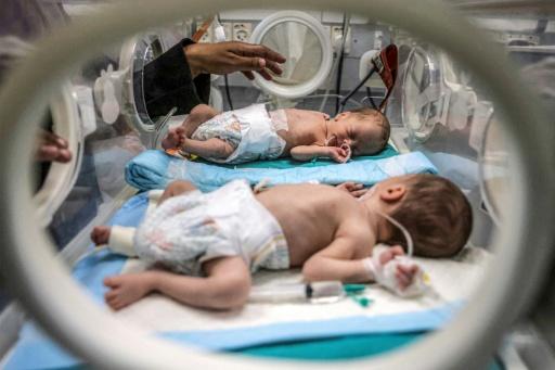 Bebês prematuros compartilham incubadora em hospital de Gaza