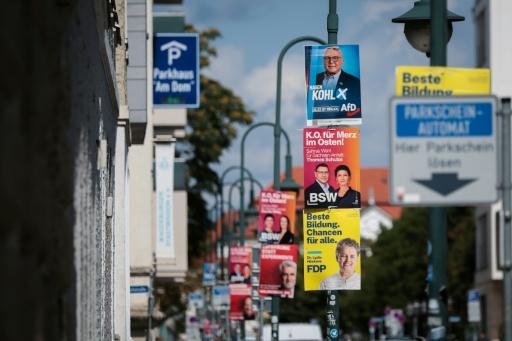 Election posters line a street in Magdeburg, eastern Germany ahead of Sunday's landmark election — Ronny HARTMANN / AFP