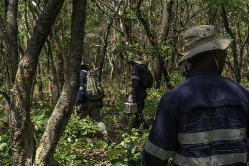 US miner KoBold bets on AI to gain edge in DR Congo mineral hunt