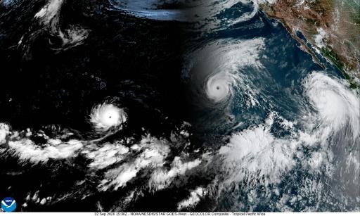 Rare train of Pacific cyclones fueled by historic El Nino