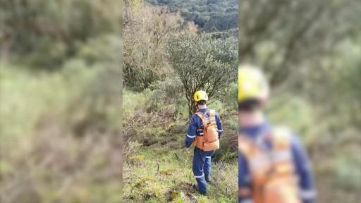 Encontrados destroços do helicóptero que transportava cantor Rick
