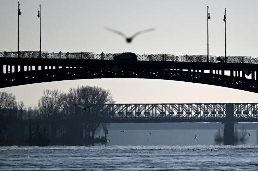 Feuerwehr rettet Möwe von Rheinbrücke: Einsatz mit Drehleiter und spontanem Applaus