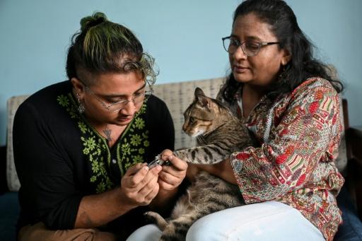 Meghna Kulkarni (D) ayuda a su hija no binaria Rit Kulkarni cortar las uñas de su gato, el 20 de agosto de 2026 en Bombay, India — Punit PARANJPE / AFP