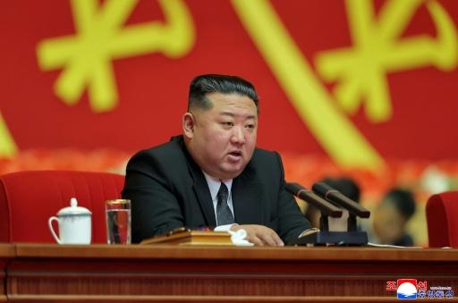 North Korean IT contractor found remote work in New Zealand: agency