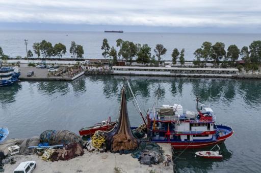 Over the past two months, at least 26 Turkish civilian commercial vessels have been attacked, industry sources say — Yasin AKGUL / AFP