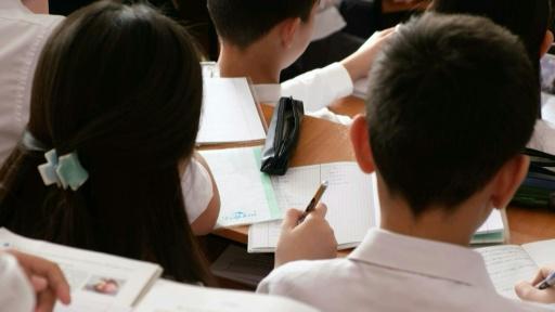 PISA aponta queda histórica de rendimento escolar, em particular em leitura