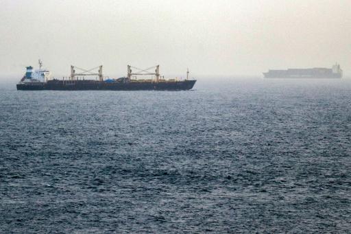Yémen: plus de 120 morts dans l'offensive des rebelles houthis vers un détroit clé en mer Rouge