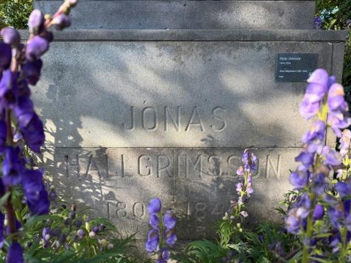 Some Icelanders are happy for the mystery to resmain unsolved — Jonathan KLEIN / AFP