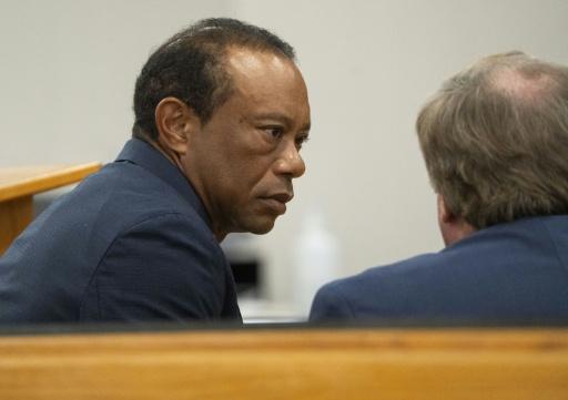 Tiger Woods at a Florida court hearing during which he pleaded no contest to a charge of reckless driving — Crystal Vander Weit / AFP