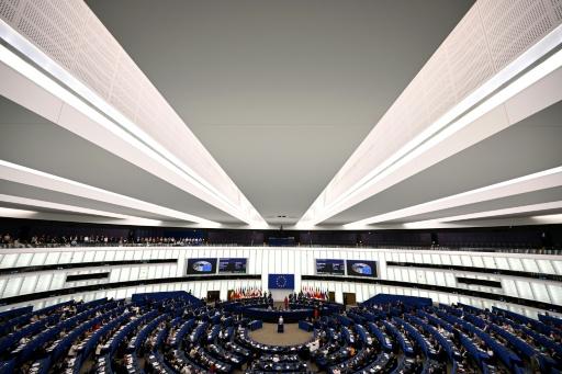 Under EU rules, member states have to approve any form of partnership with a third country — Jean-Christophe VERHAEGEN / AFP