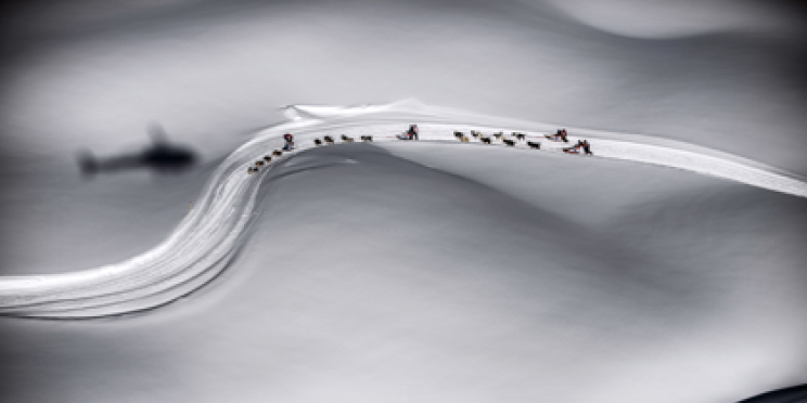 Two AFP photographers win World Press Photo 2014 Awards