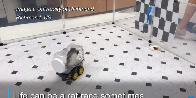 Here are the top 10 videos on AFP English this week (21th to 27th October)
