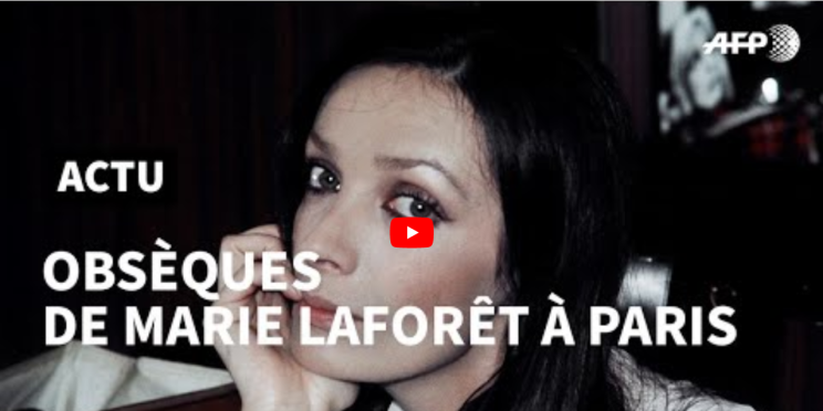 Les 10 vidéos AFP les plus regardées sur YouTube entre le 3 et 10 novembre 2019