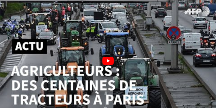Les 10 vidéos AFP les plus regardées sur YouTube entre le 25 novembre et 1er décembre 2019