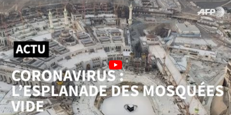 Les 10 vidéos AFP les plus regardées sur YouTube entre le 2 mars et le 8 mars 2020