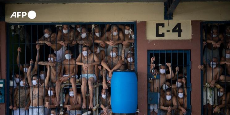 AFP wins prize at the Istanbul Photo Awards 2021