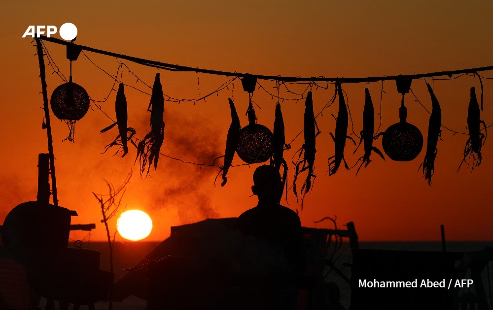 afp photos photography