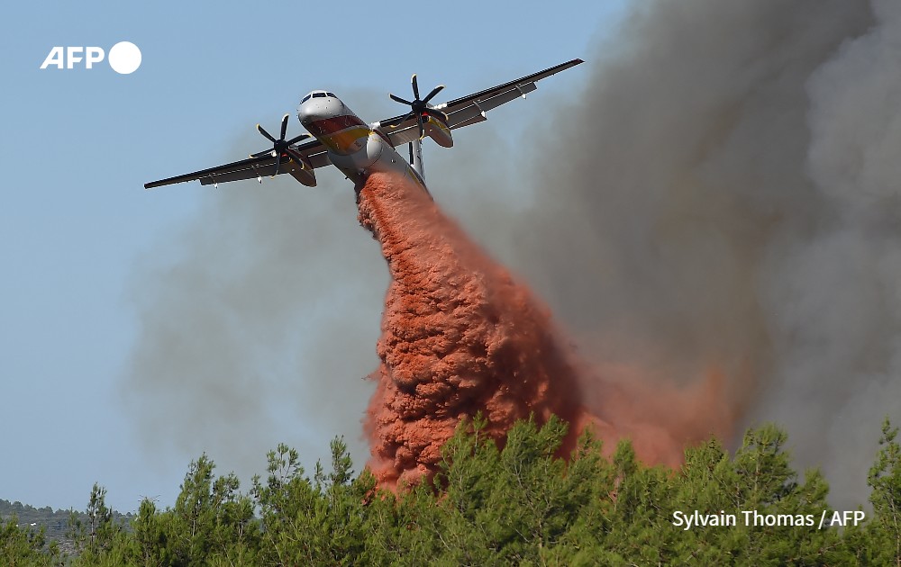 afp photos photography